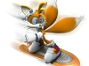 sonic_riders_29_20080319_1159908954