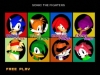 sonic_the_fighters_12_20080818_1933906238