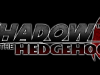 shadow_the_hedgehog_17_20080812_1644196304