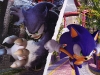 sonic_unleashed_1_20080803_1370747317