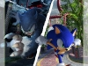 sonic_unleashed_1_20081021_1938263693