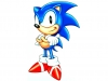 sonic_the_screensaver_10_20080818_1232437822