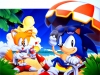 sonic_the_screensaver_11_20080818_1472973242