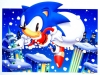 sonic_the_screensaver_15_20080818_1766501245