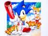 sonic_the_screensaver_16_20080818_1267798763