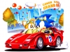 sonic_the_screensaver_19_20080818_1761015315