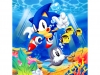 sonic_the_screensaver_22_20080818_1153059084