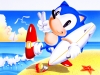 sonic_the_screensaver_23_20080818_1393739252