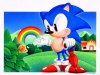 sonic_the_screensaver_2_20080818_1161739517