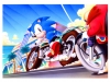 sonic_the_screensaver_37_20080818_1083617902