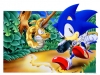 sonic_the_screensaver_3_20080818_1801127636