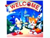 sonic_the_screensaver_7_20080818_1084014609