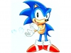 sonic_the_screensaver_9_20080818_1516037807