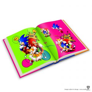 official SEGA sonic the hedgehog art book